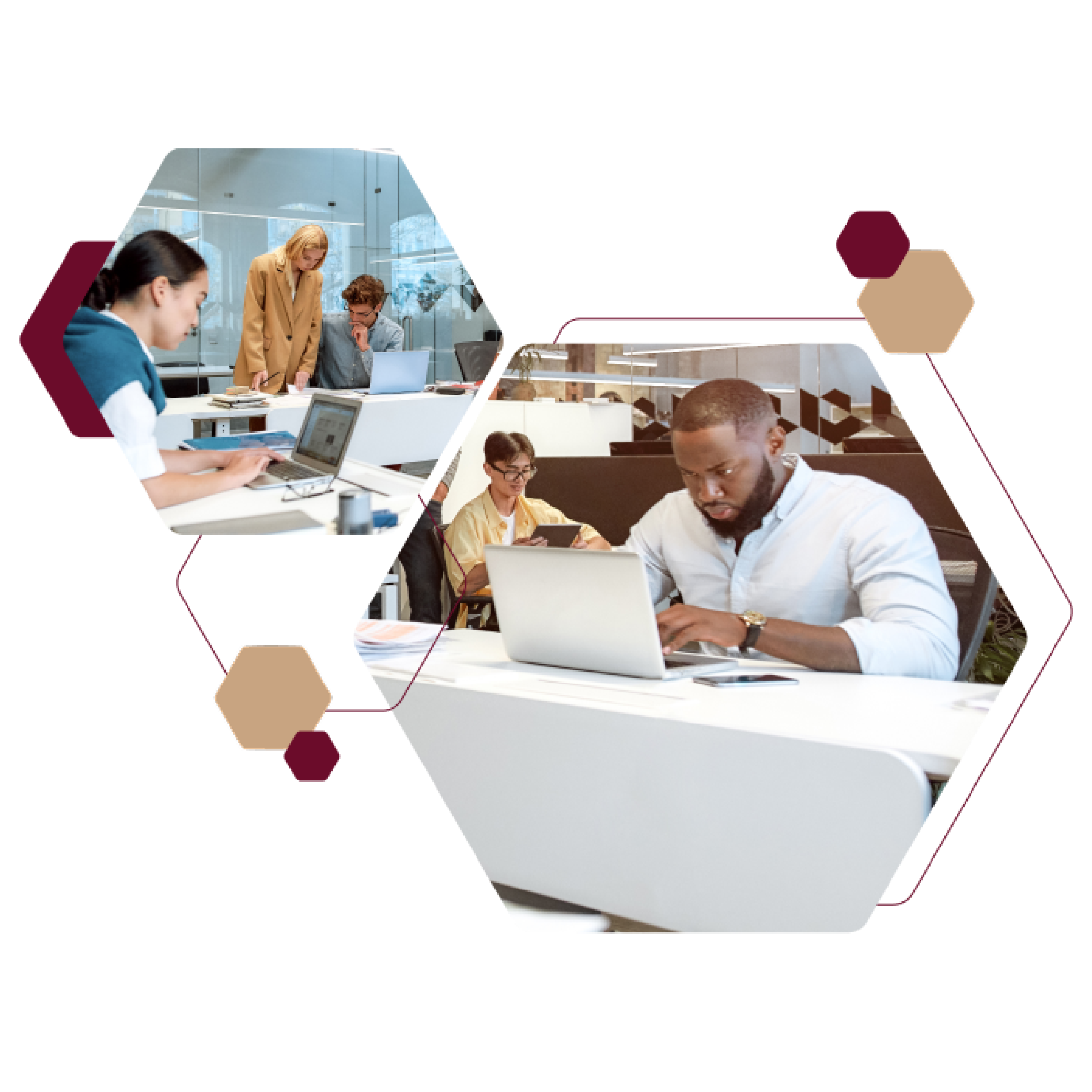 PeopleShores Image of People working