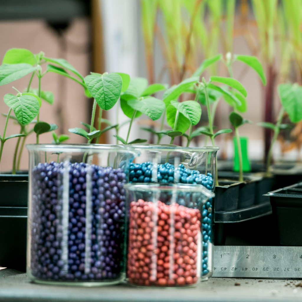 Plants