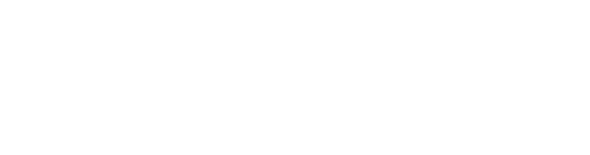 New Americo White Logo
